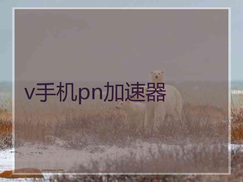 v手机pn加速器