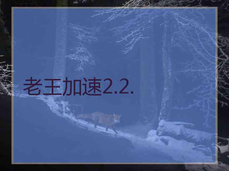 老王加速2.2.