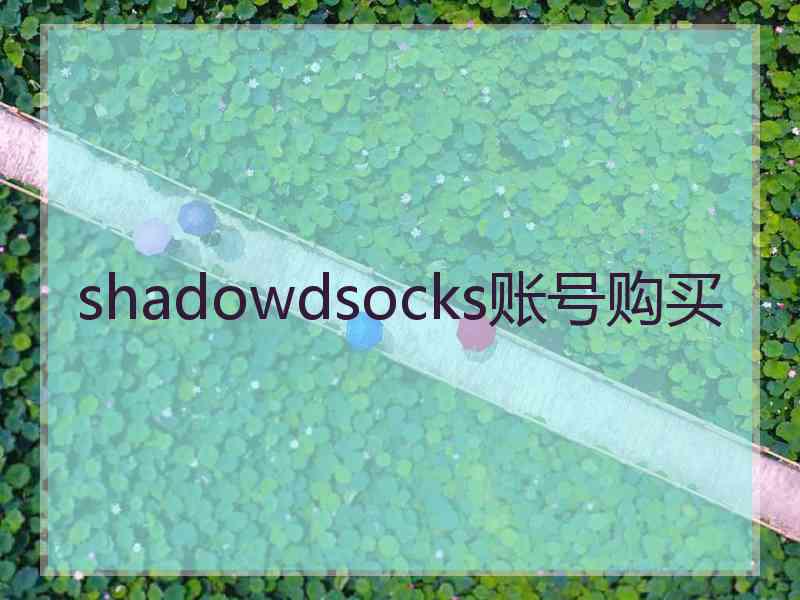 shadowdsocks账号购买