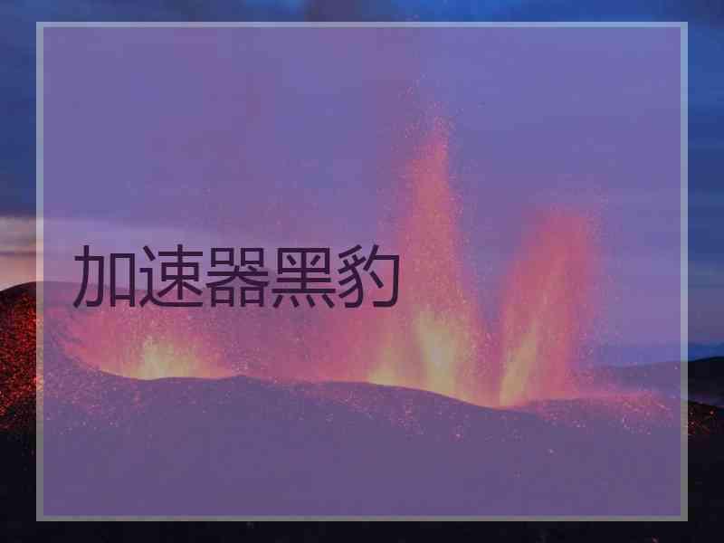 加速器黑豹