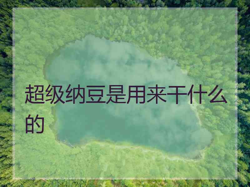 超级纳豆是用来干什么的