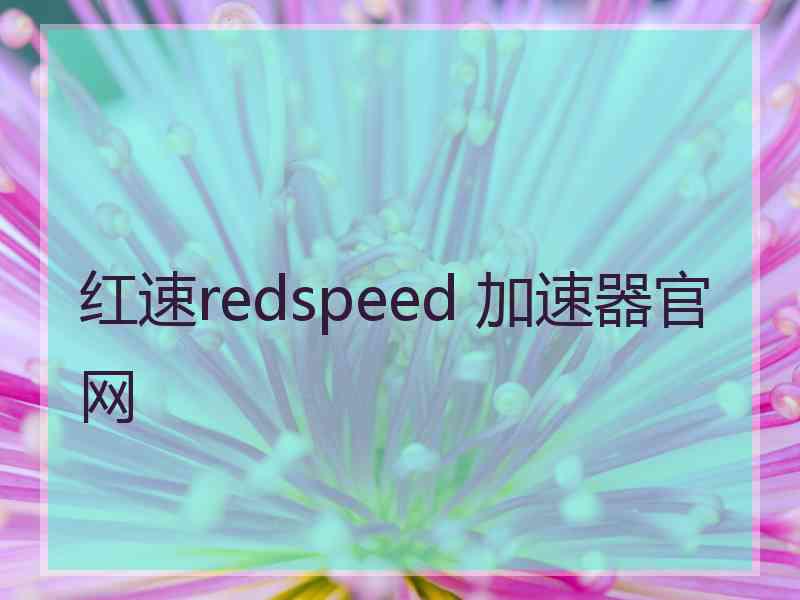 红速redspeed 加速器官网