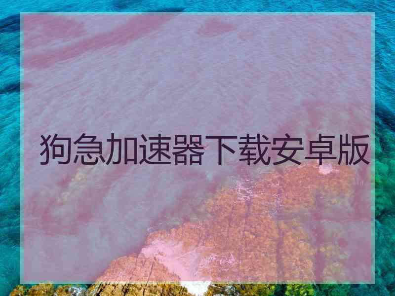 狗急加速器下载安卓版