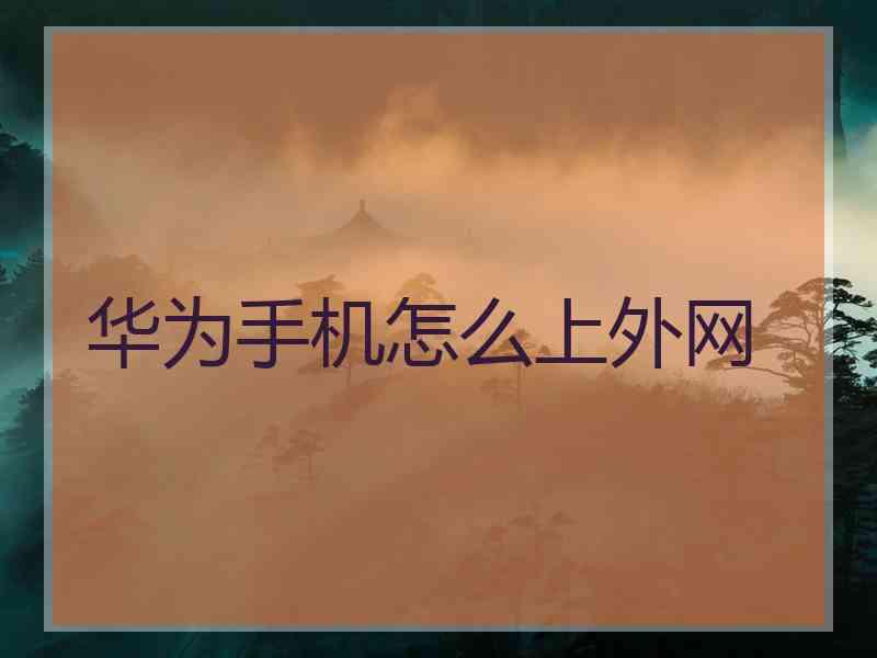 华为手机怎么上外网