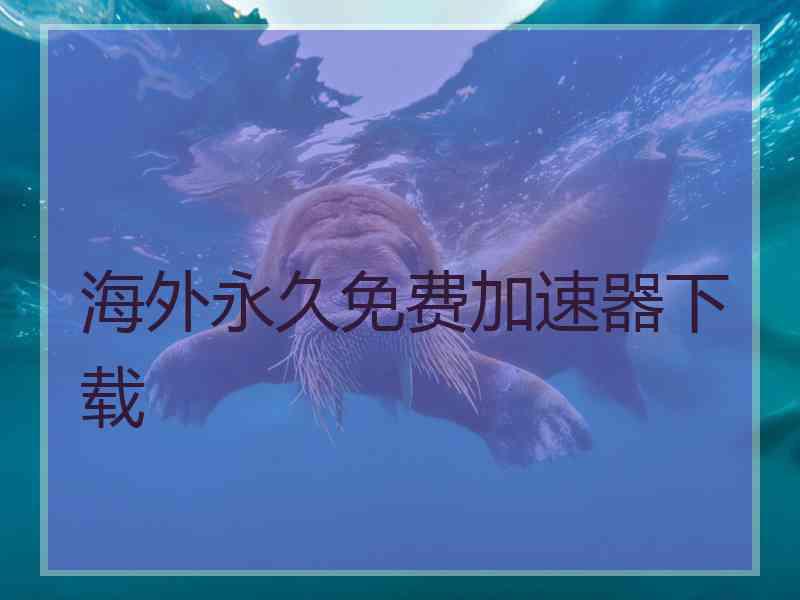 海外永久免费加速器下载
