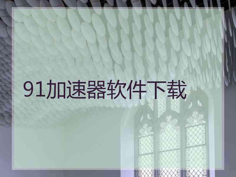 91加速器软件下载