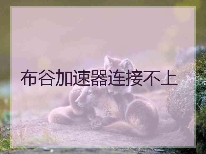 布谷加速器连接不上