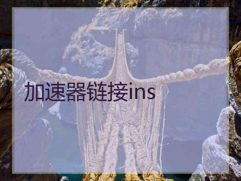 加速器链接ins