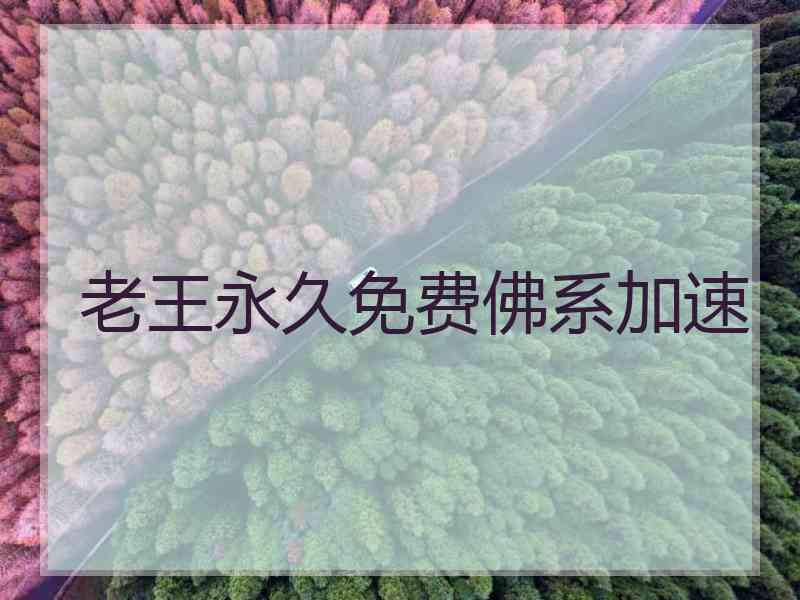 老王永久免费佛系加速