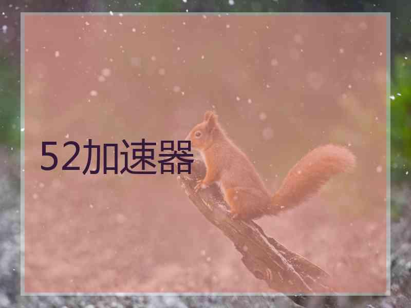 52加速器
