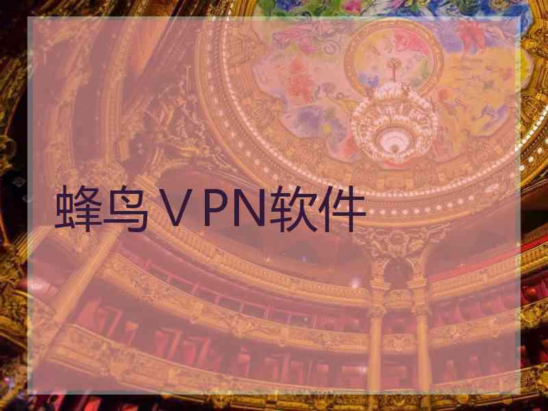 蜂鸟ⅤPN软件