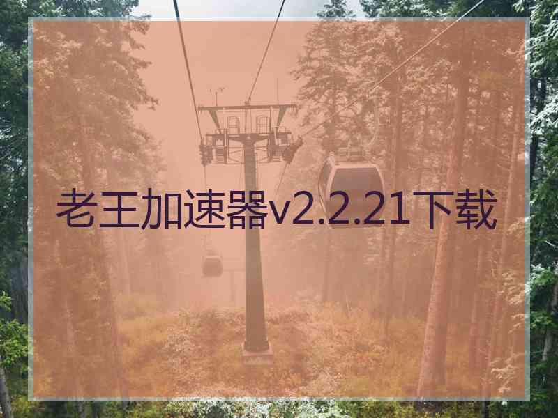 老王加速器v2.2.21下载