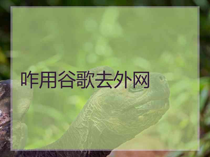 咋用谷歌去外网