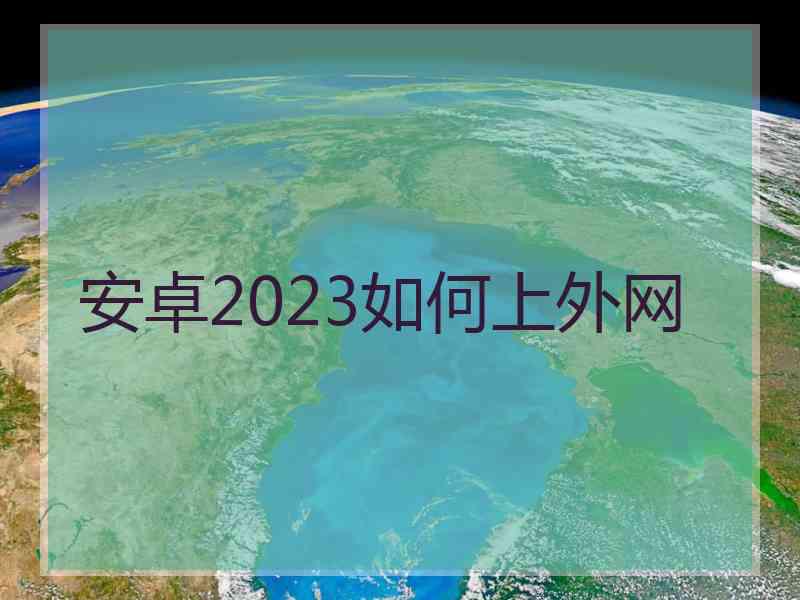 安卓2023如何上外网