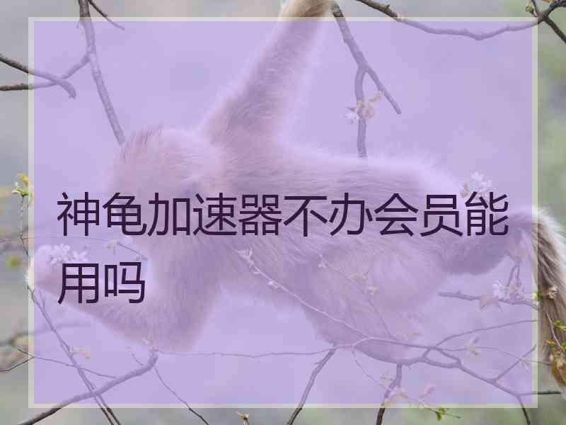 神龟加速器不办会员能用吗