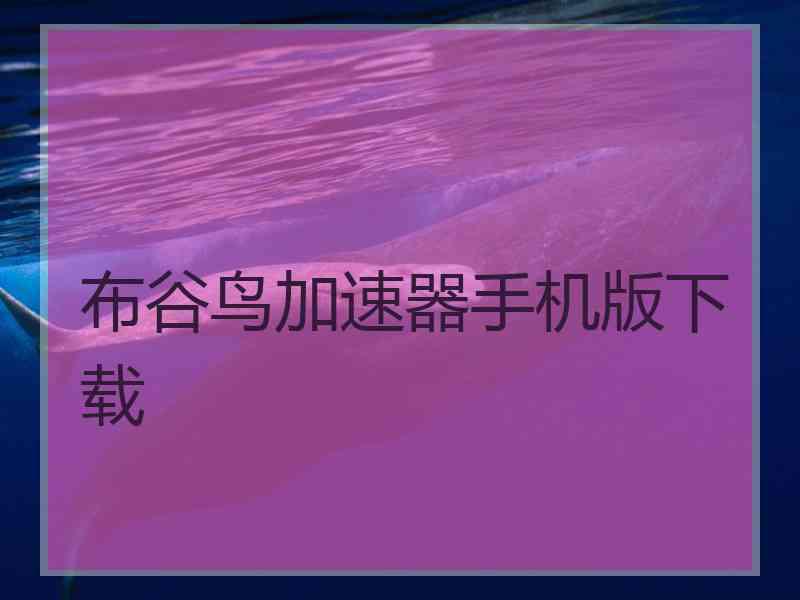 布谷鸟加速器手机版下载