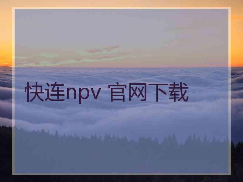 快连npv 官网下载