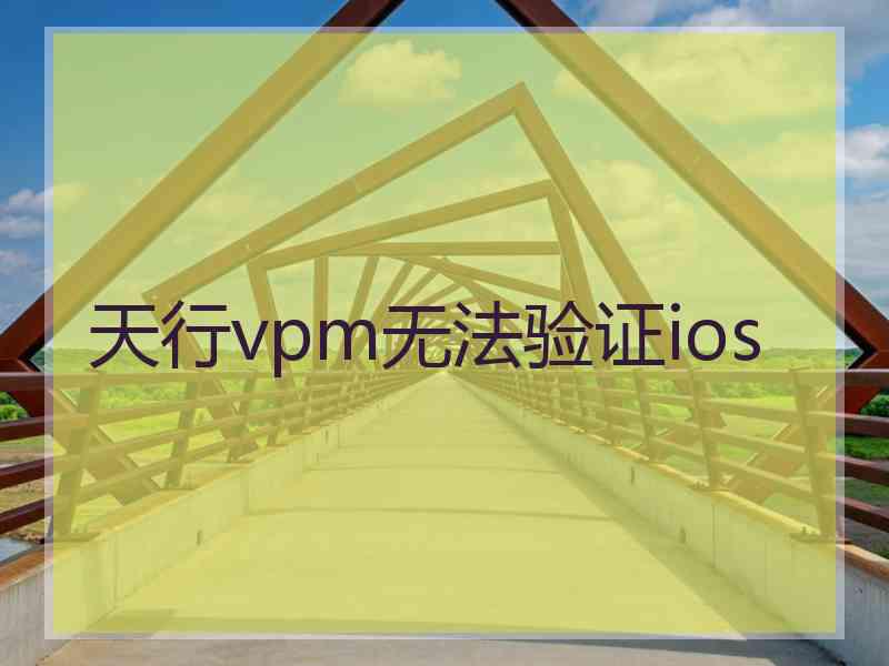 天行vpm无法验证ios