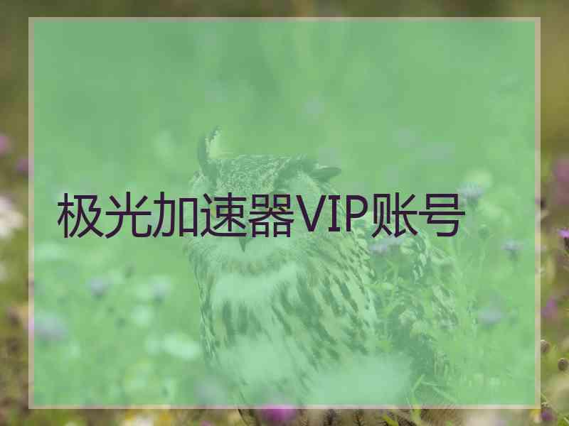 极光加速器VIP账号