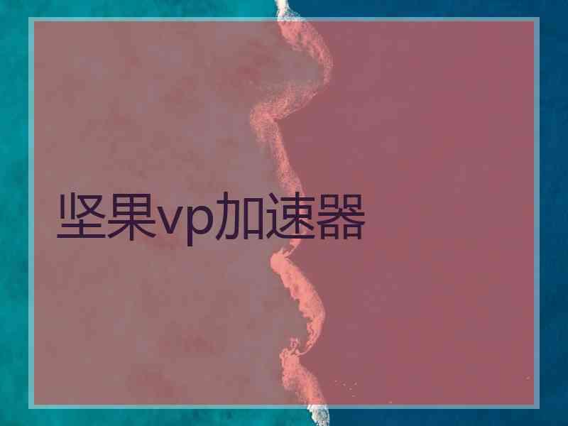 坚果vp加速器