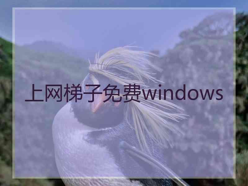 上网梯子免费windows