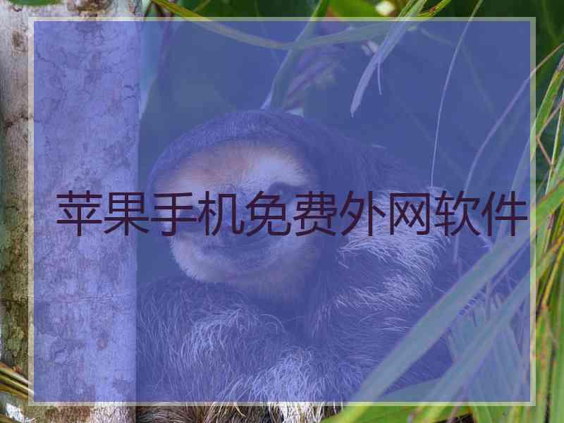 苹果手机免费外网软件