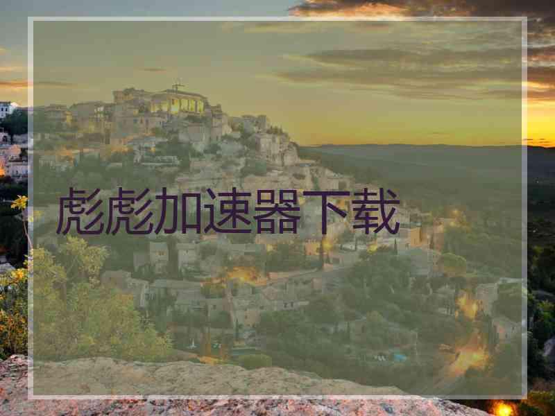彪彪加速器下载