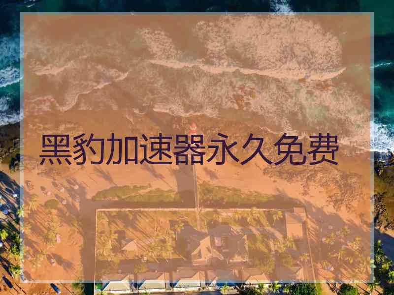 黑豹加速器永久免费