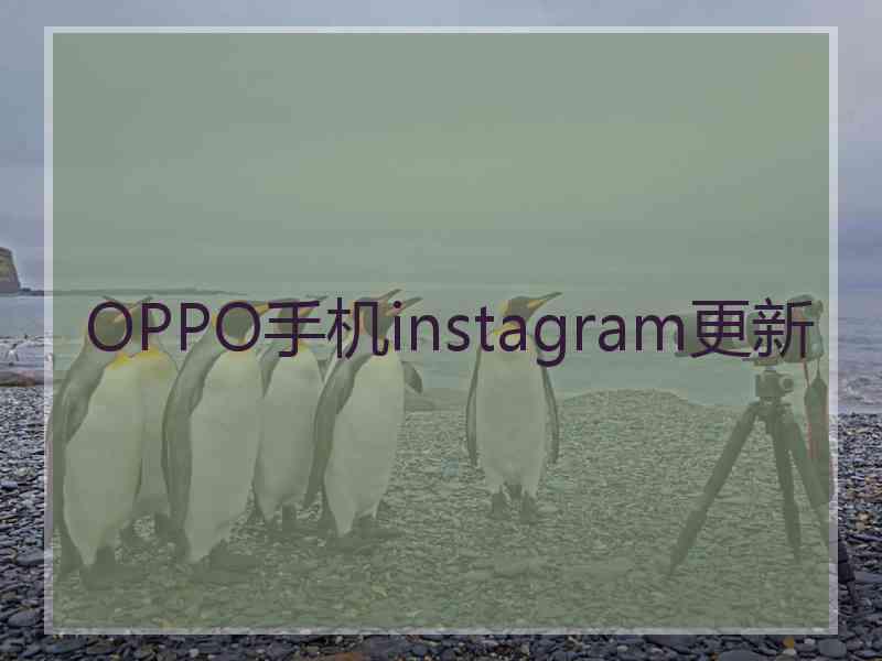 OPPO手机instagram更新