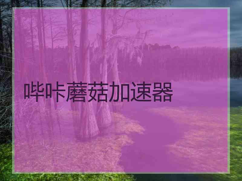 哔咔蘑菇加速器