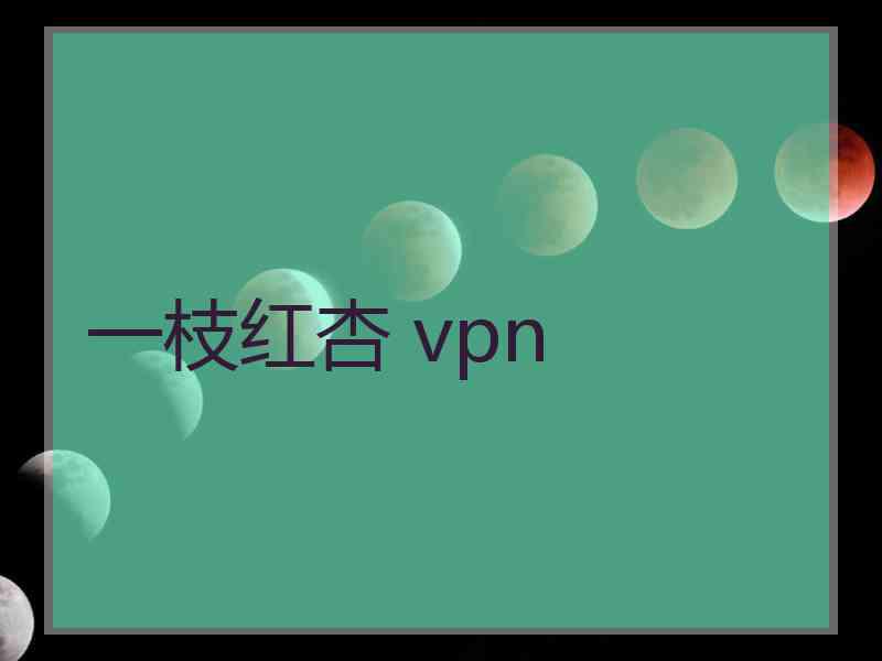 一枝红杏 vpn