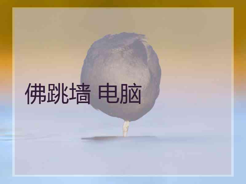 佛跳墙 电脑
