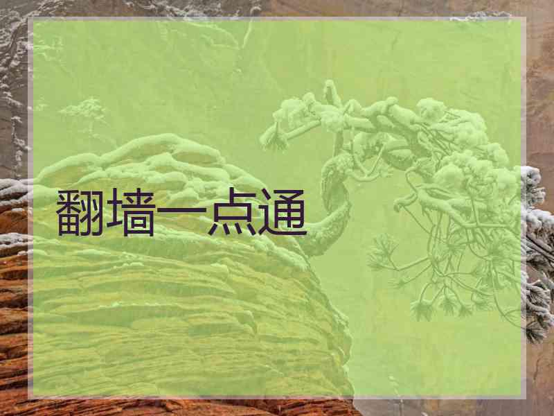 翻墙一点通