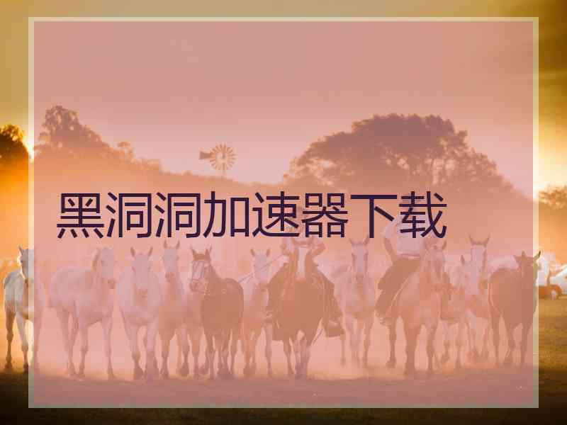 黑洞洞加速器下载