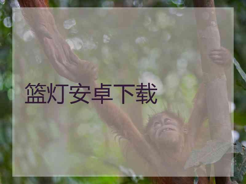 篮灯安卓下载