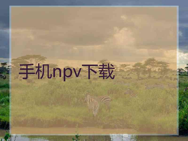 手机npv下载