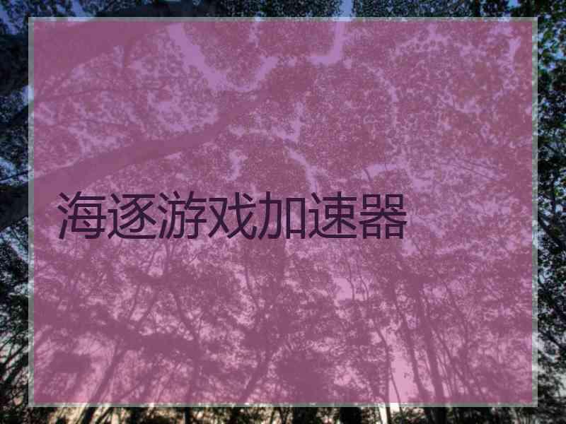 海逐游戏加速器