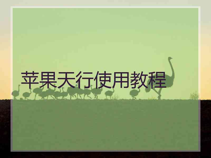 苹果天行使用教程