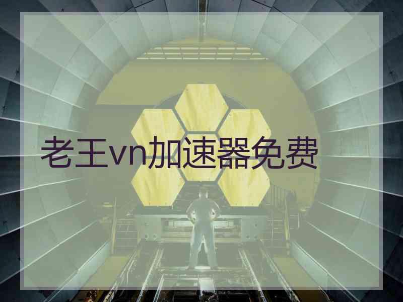 老王vn加速器免费
