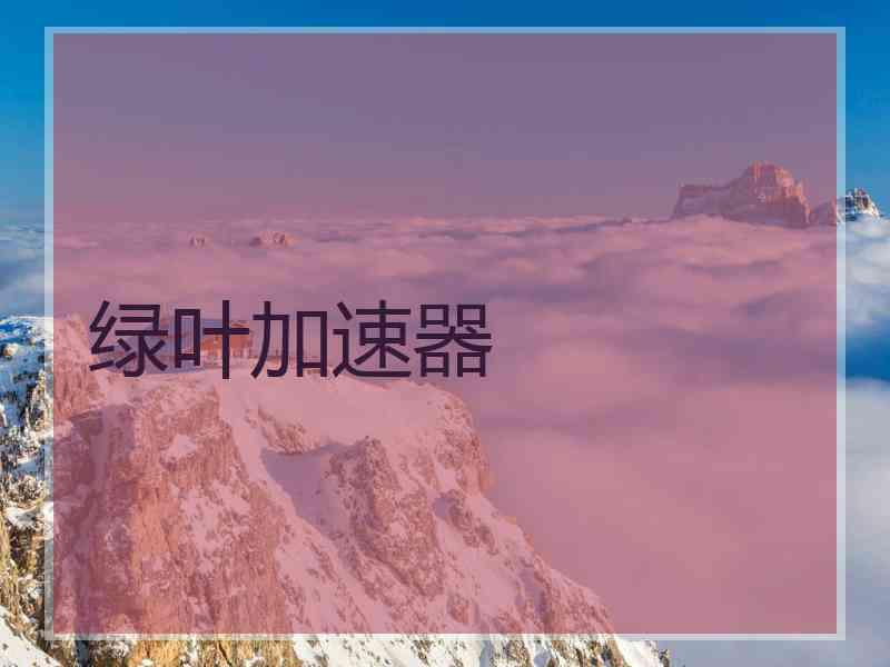 绿叶加速器