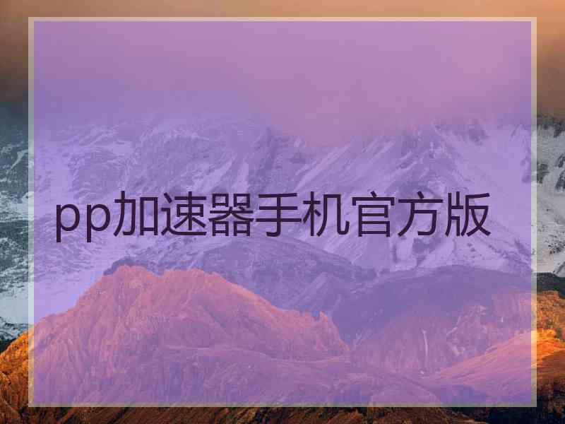 pp加速器手机官方版