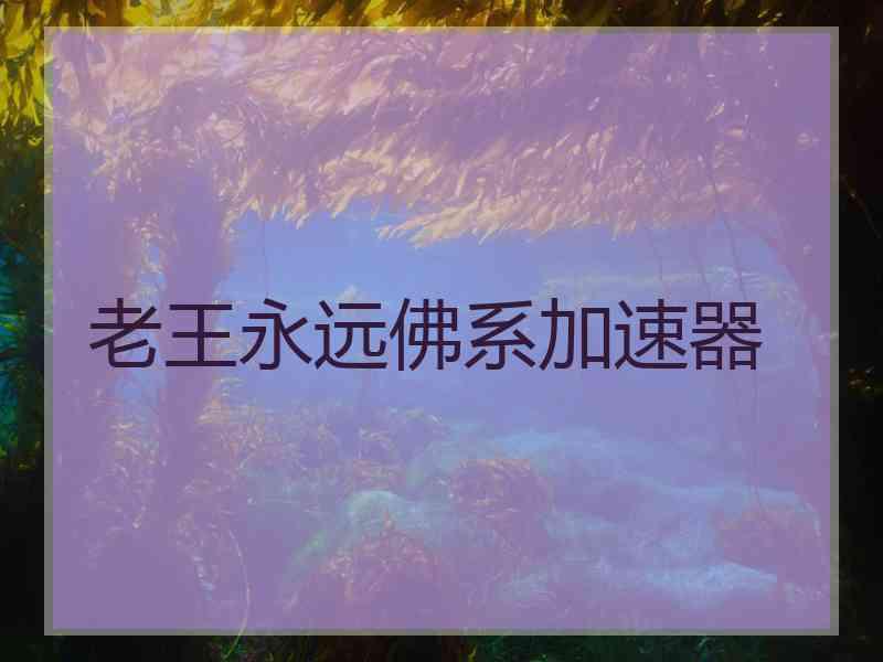 老王永远佛系加速器