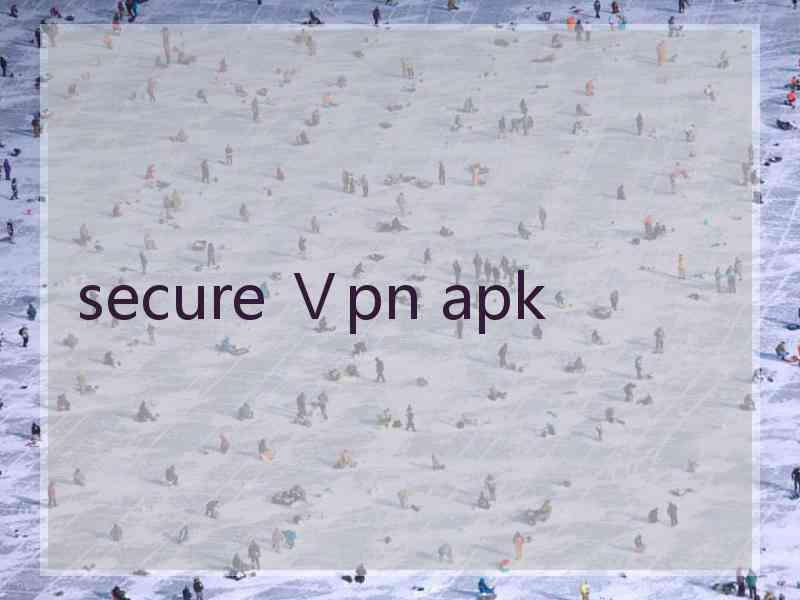 secure Ⅴpn apk