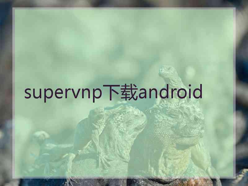 supervnp下载android