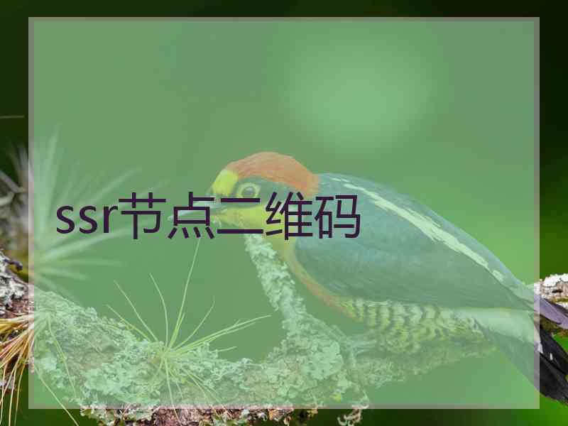 ssr节点二维码