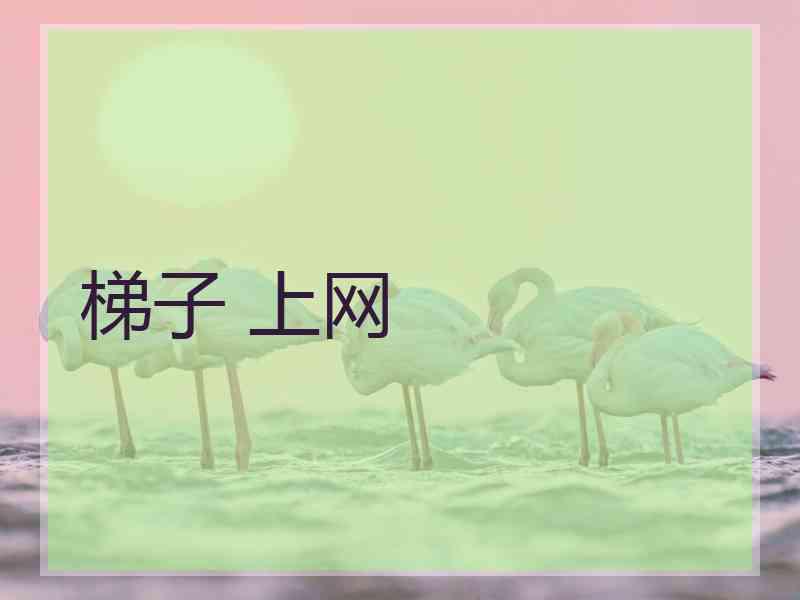 梯子 上网