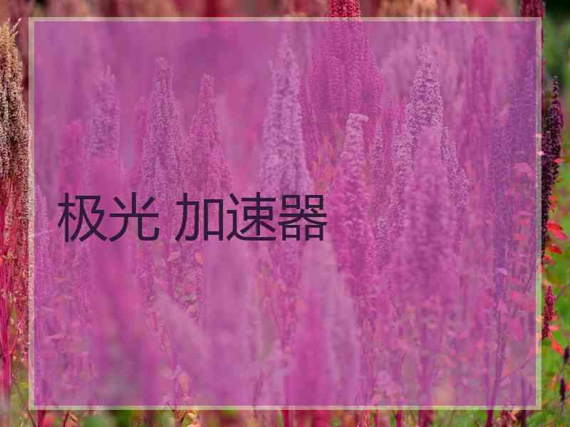 极光 加速器