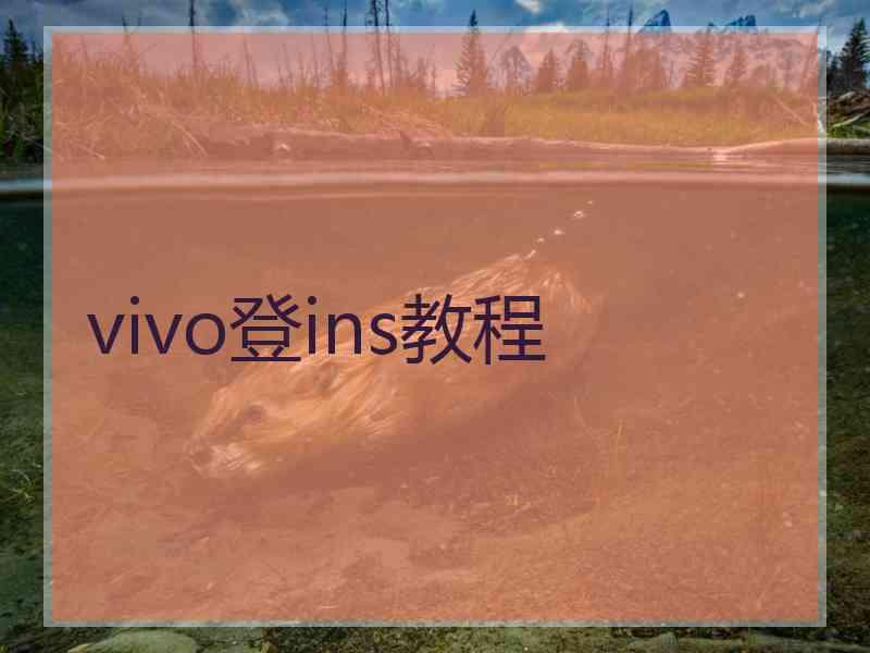 vivo登ins教程