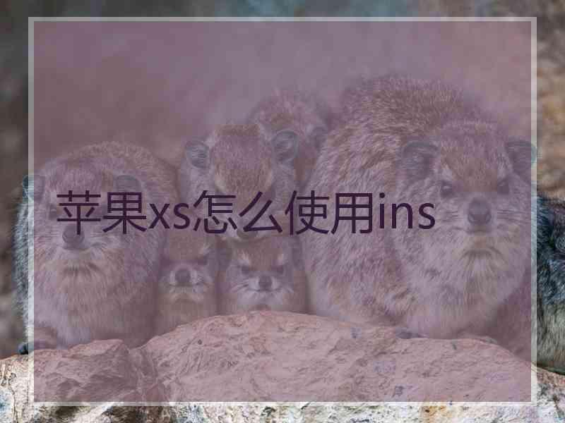 苹果xs怎么使用ins