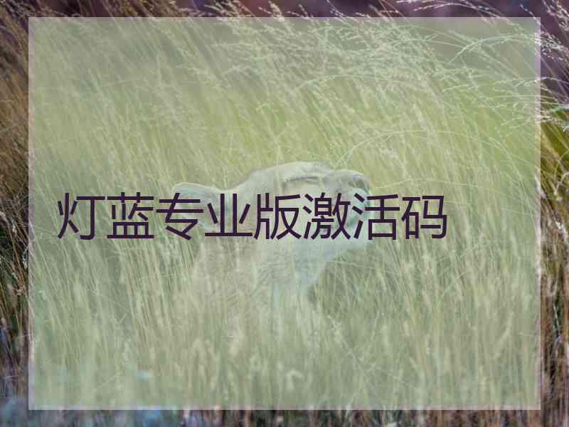 灯蓝专业版激活码